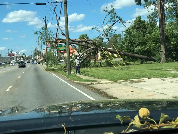Fallen Tree During Atlanta Winter Storm Pulled Power Lines From Homes, Forcing Repairs and Inspections